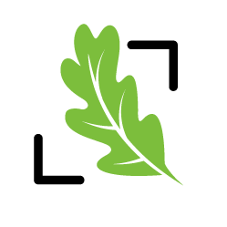 Acorn Group