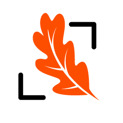 Acorn Group